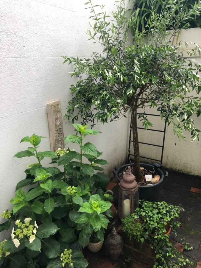 Olive Tree Apartment Hove Exterior photo