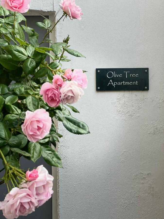 Olive Tree Apartment Hove Exterior photo